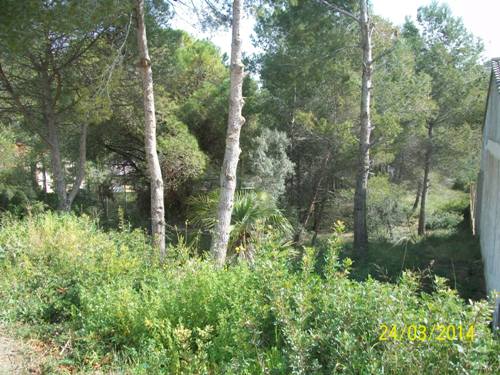 04 Ourense 25 a
