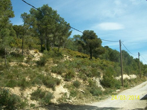 09-10-12-13 Andalusia 54-56-58-60 b