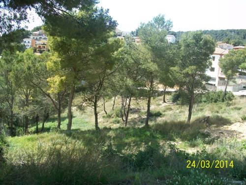 14-15-16-17-18-19 Badajoz 1-1bis-3-5 Palmeres 14-16 i