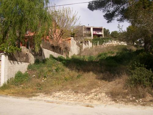 24 Valncia 20 b