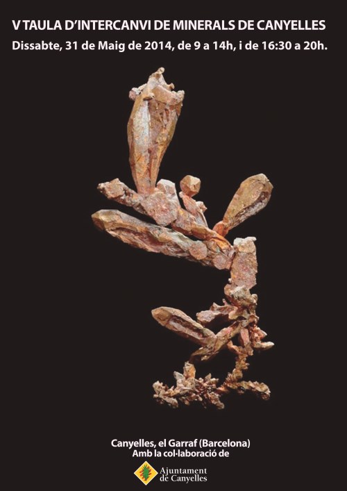 Intercanvi Minerals