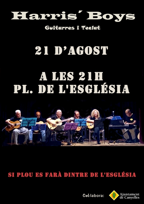 2015 08 21 Guitarres
