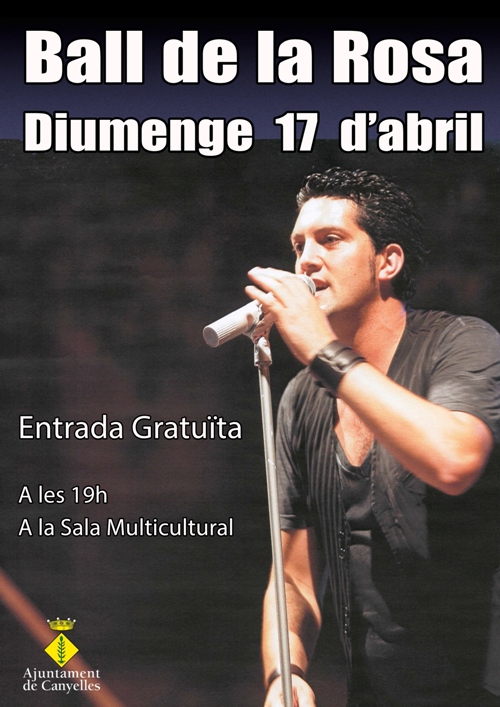2016 04 17 BallRosa