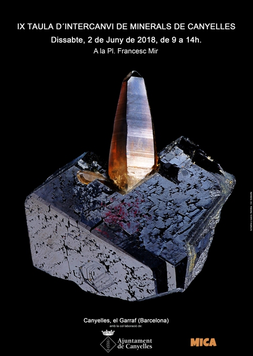 IX Trobada de Minerals