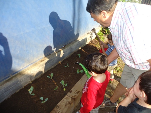 Llar Hort 02