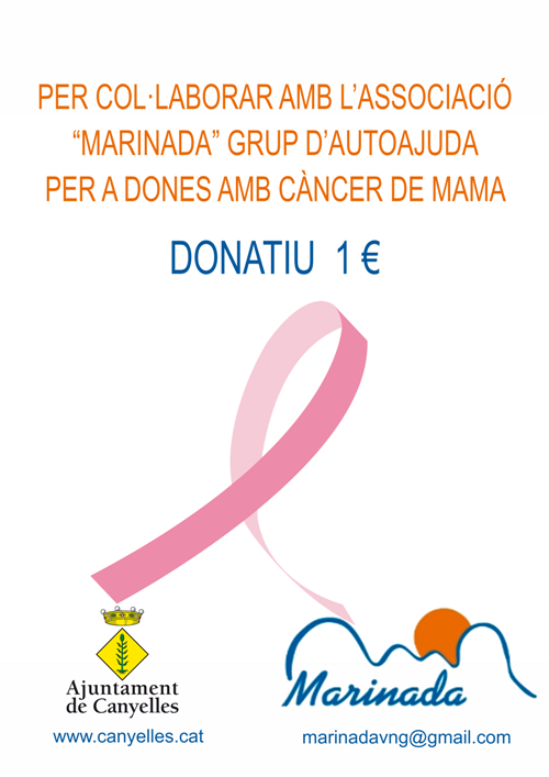 2016 12 31 cartell donatiu