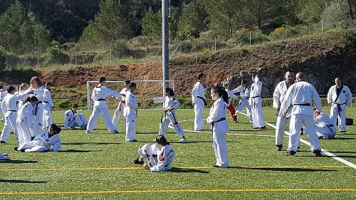 2017 04 03 Taekwondo