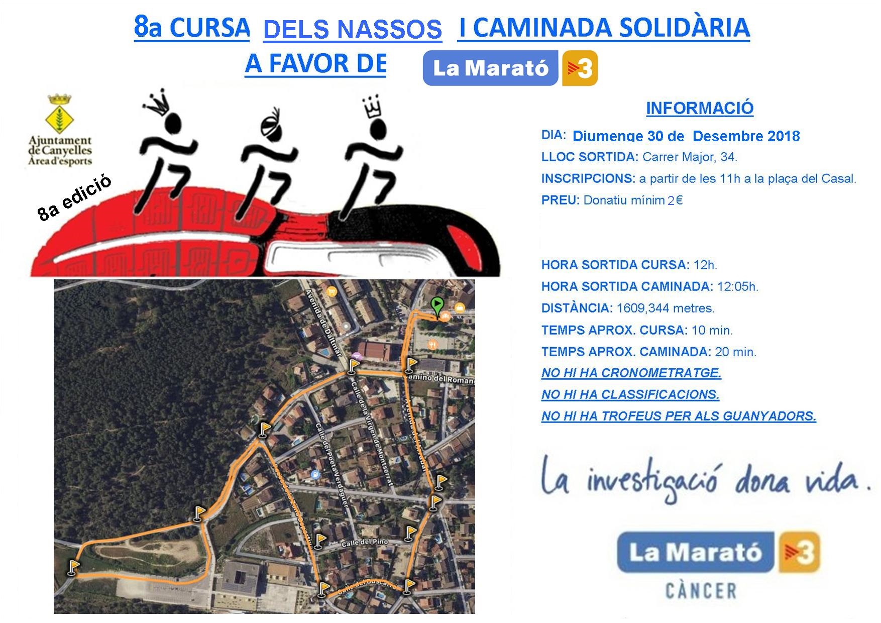 2018 12 30 infocursanassosisolidaria