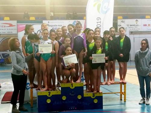 2019 02 gimnasticaartistica