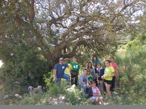 2015 05 09 Arbre