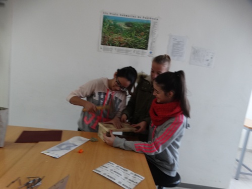 2016 02 03 CaixesNiuInstitut 01