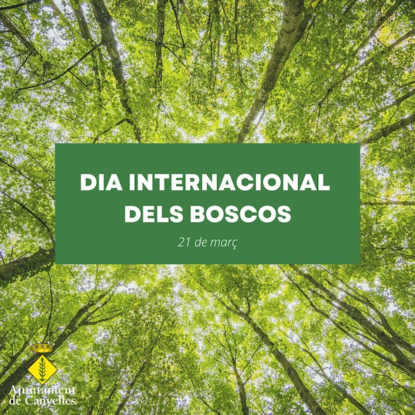 2022 03 21 diadelsboscos