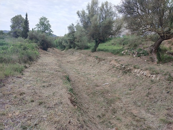 2023 05 31 netejarieracandori1i5