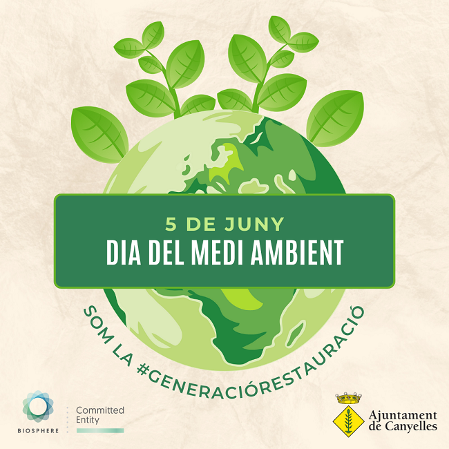 2024 06 05 diamediambient