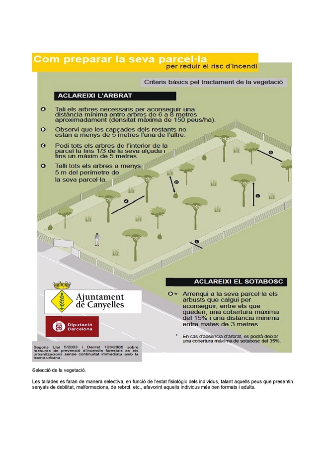 2024 06 infografiaparcelles