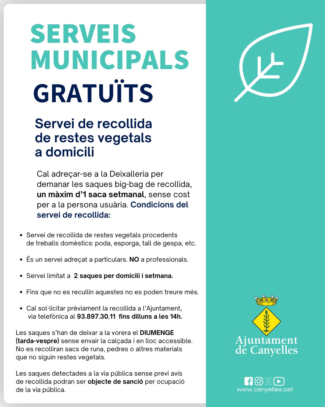 2025 04 16 aviscanvidatapoda