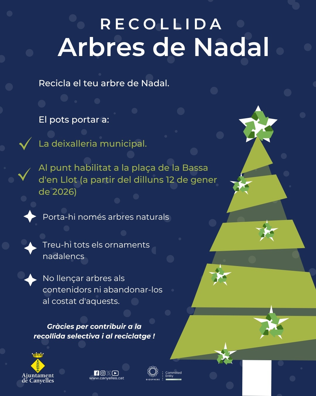 2026 01 12 recollidaarbresdenadal