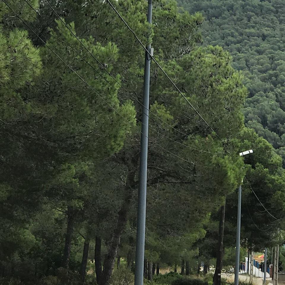 2018 09 28 enllumenat palmeres