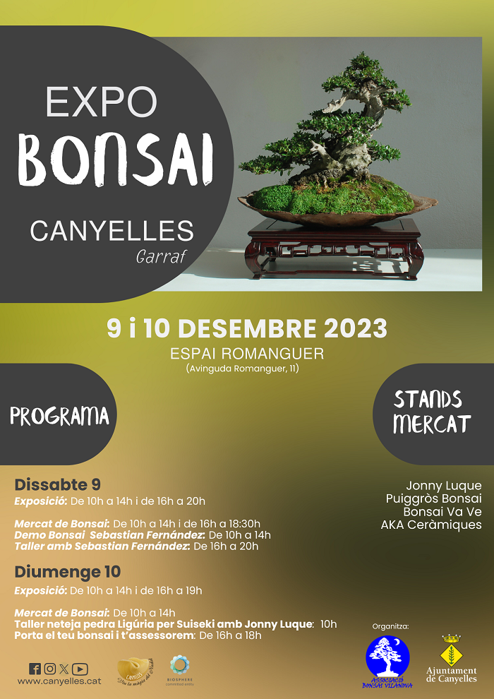 2023 12 09 expobonsais1