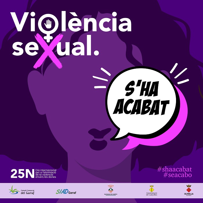 2023 11 25 cartell copia